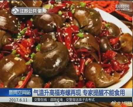 田螺吃哪个部位示范图，田螺的吃法吃那个部位（可能会感染中枢神经）