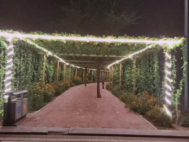 吉林师大博达学院，2021吉林师范大学博达学院排名（<五>吉林师范大学博达学院）