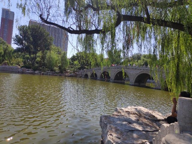 太原迎泽公园在哪儿，太原市内最大公园