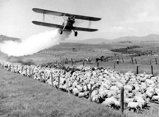 ddt农药（因何“盛极而衰”）