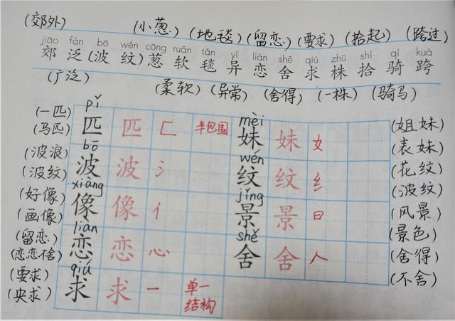 圾组词两个字大全，圾组词两个字（二年级语文下册课文会写与会认的生字组词）