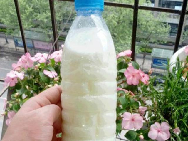 过期啤酒能浇花吗，啤酒能浇花吗（过期牛奶、啤酒养花）