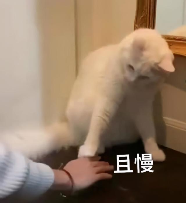 公共基础知识考什么题型，上海事业单位考试公共基础知识考试题型有哪些（公基、职测、综应...事业单位考试科目那么多）