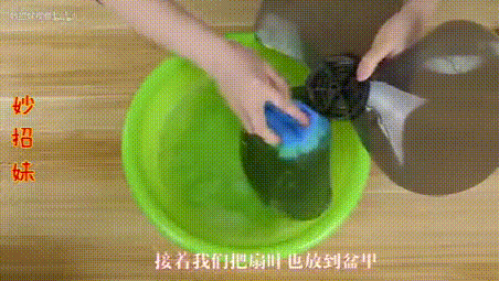 电风扇怎么拆卸清洗，怎么拆洗家用电风扇（不用拆开，轻松还原干净状态）