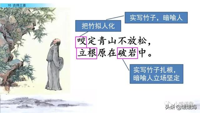 立根原在破岩中，立根原在破岩中里的破岩还是什么（六年级下册语文第10课《古诗三首》图文详解及同步练习）
