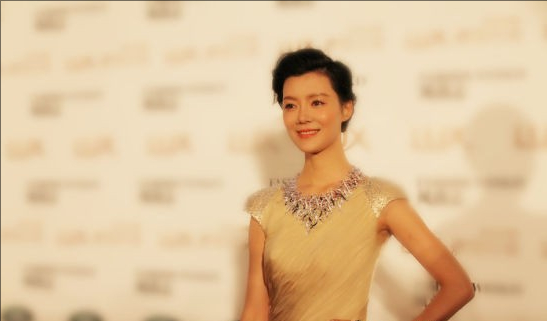 车晓的电视剧全部，车晓的电视剧全部排行榜（因前夫破产豪门往事再被提）