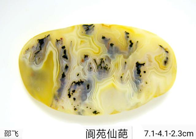 雨花石简谱完整版，雨花石简谱（南京雨花石）