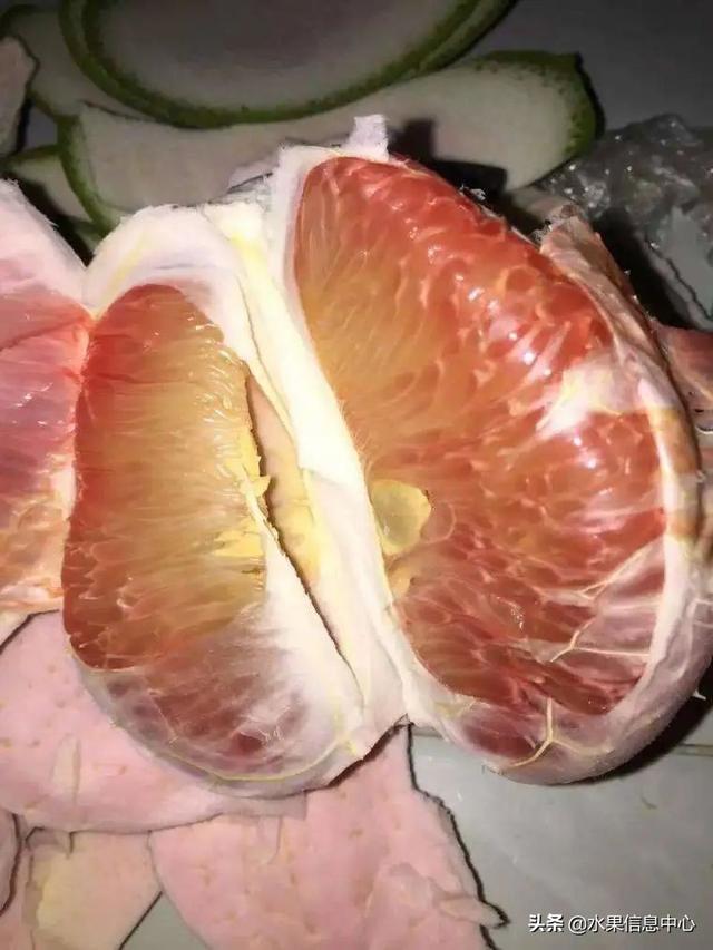 醋柳果的功效与作用，醋柳果的功效与作用及禁忌（国内有哪些小众特色水果）