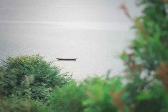 诗歌大全100首，诗歌大全100首 小学生四年级（每首不足100字）