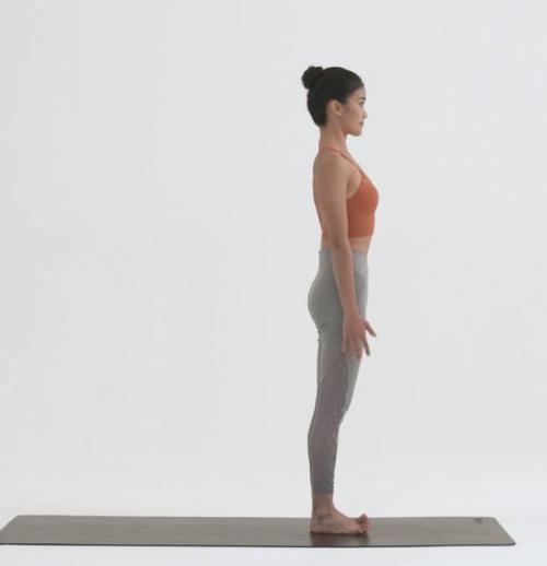 髋关节在哪个部位图片，髋关节在哪个部位（快看看髋关节的功能表现）