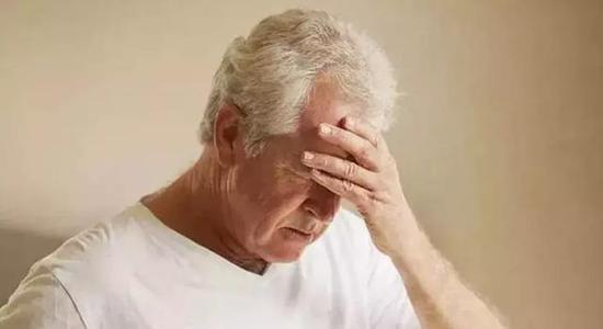 西梅是李子的一个品种吗，西梅和李子是一个品种吗（李子跟西梅有什么区别）