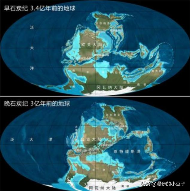 地球石炭纪时期，盘点地球的巨虫时代——石炭纪