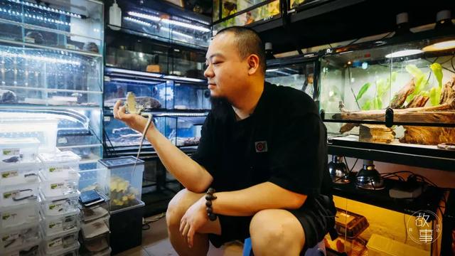 冷血动物有哪些，冷血动物有哪些特征（这个人养了上百只“冷血动物”）