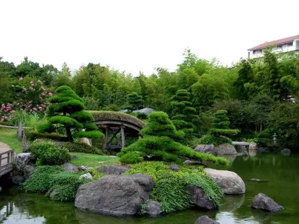 日式园林植物配置浅析，铃木摩托车