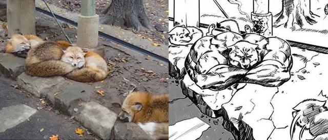 吸猫伐是什么意思，什么叫吸猫（禽兽们搞起比利来有多“骚”）