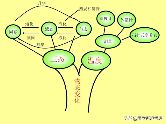 树状思维导图模板，知识点总结树状图（初中物理树状思维导图）