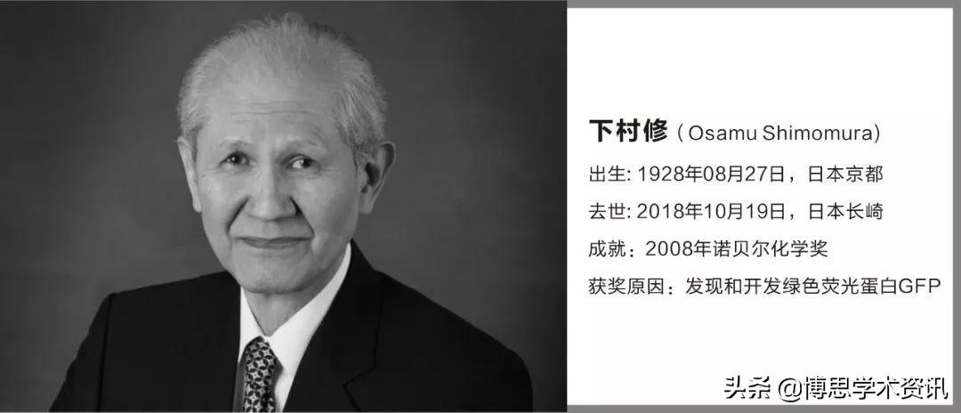 狂言50年要拿30个诺奖的日本 普拉舍 关于普拉舍的简介