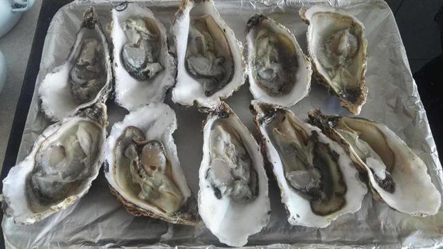 蒸生蚝要不要把壳撬开，蒸生蚝要开壳吗（蒸生蚝要开壳吗）