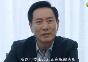 姚刚演的电视剧，姚刚在什么电视剧中饰演何总（从社会我兆哥到忠烈金市长）