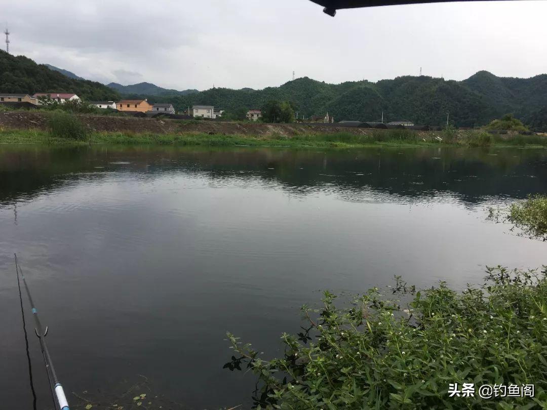 钓鲫鱼最佳水深指南：精准掌握深度，轻松提升上钩率，让垂钓更高效有趣