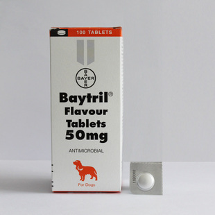 哪些消炎药可以给狗吃，可以给狗吃的消炎药有哪些（一些宠物常见的消炎药）