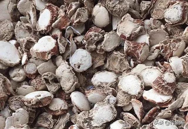 钓鱼为什么禁止用丁香，一斤白酒泡多少丁香钓鲫鱼（一款简单又好用的钓鱼药酒就诞生了）