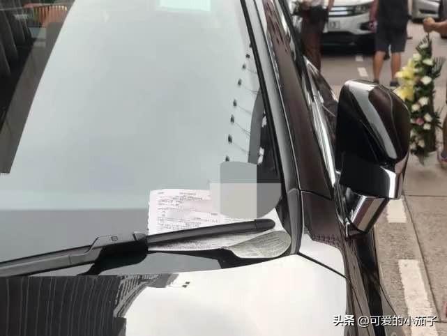 女人梦见飞蛾什么预兆，梦见飞蛾是什么寓意（黄日华太太出殡日期确定）