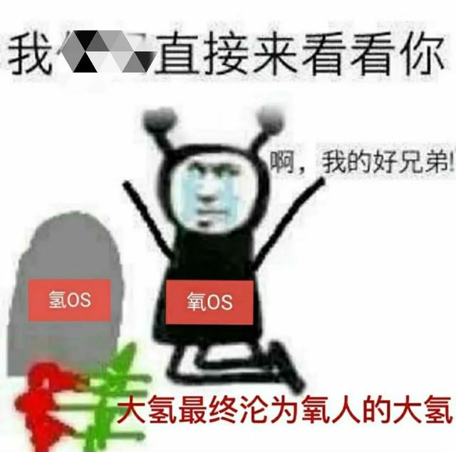 一加回归 OPPO，背后的秘密不可告人