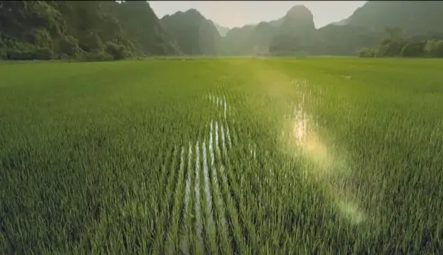 红米饭南瓜汤原唱歌曲，红米饭南瓜汤的歌是什么时候的歌谣（红色记忆中的特殊味道）
