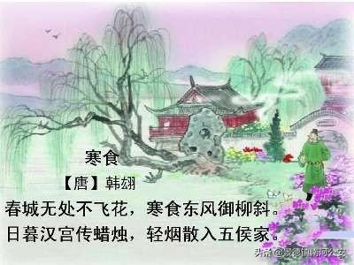 什么无处不飞花(无处不开花是什么意思)