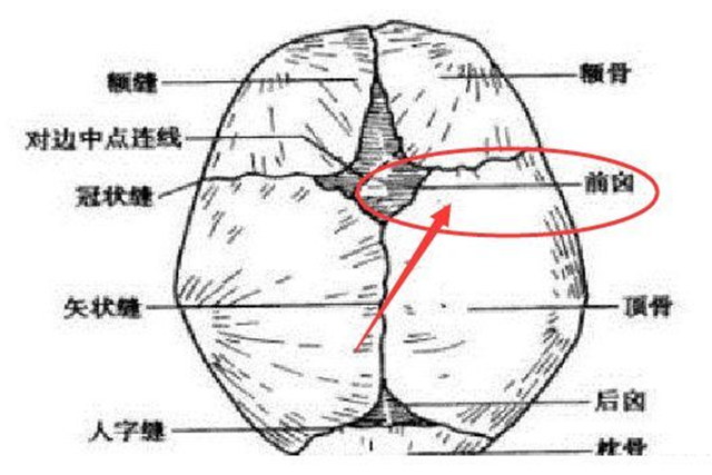 婴儿后脑勺枕骨突出图片，婴儿后脑勺太突出要怎么调整（新手妈妈吓得要去医院）