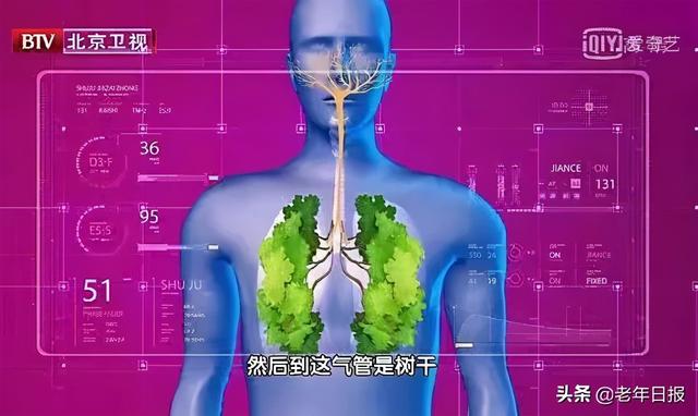 耳皮读什么意思是什么，耳朵皮读什么（降压、健脑、补肾精……别错过）