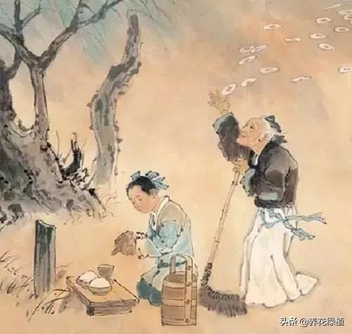 清明祭祀的禁忌，清明祭祀的禁忌有哪些（你知道在扫墓祭祖传统习俗中）