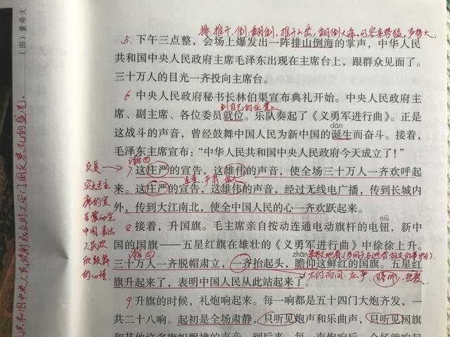 挺立的意思是什么，资深教师带学生轻松、细致地预习