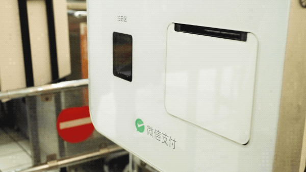 黑松多少钱一包，黑松树价格多少钱一棵（这家逛了快三十年的国民超市）