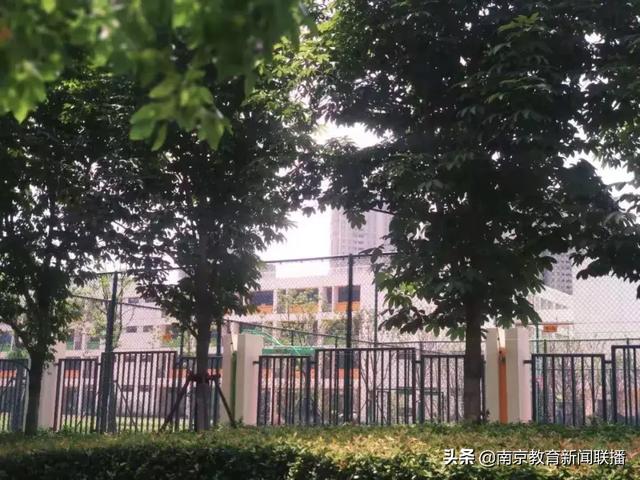 南京最大的小学是哪所，所有老师都是“班主任”