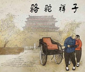 老舍先生的简介，老舍一些印象简介（那些从来就不该被忘却的——老舍之死）