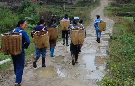 贵州省贵阳市区号，0851是哪里的区号（安顺，一座正在“消失”的城市）
