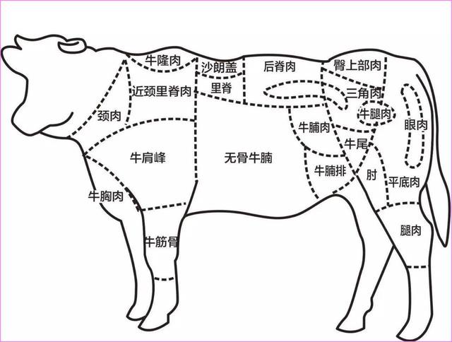 牛的部位名称大全图解图片