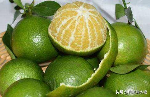 羞涩小蜜橘网名，羞涩小蜜橘微信昵称（味道纯甜如蜂蜜）