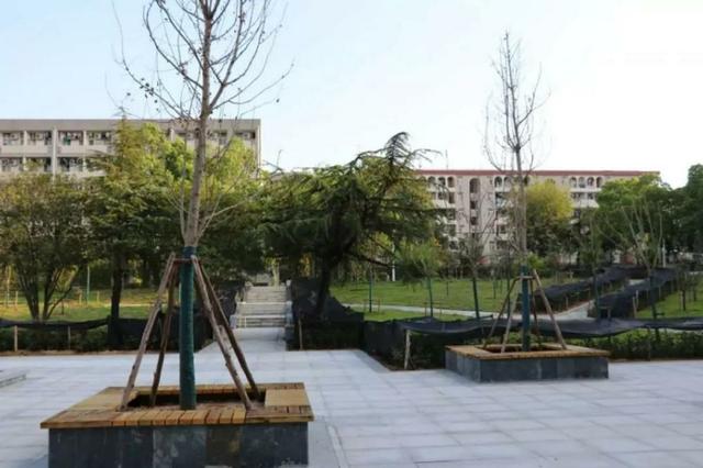 中南财经政法大学首义校区，中南财经政法大学首义校区地下为什么会有雷（藏有15组不为人知的“密码”）