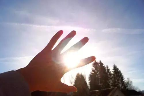 死肥宅是什么造成的,我们怎么就成了“死肥宅” 死肥宅是什么造成的,我们怎么就成了“死肥宅”