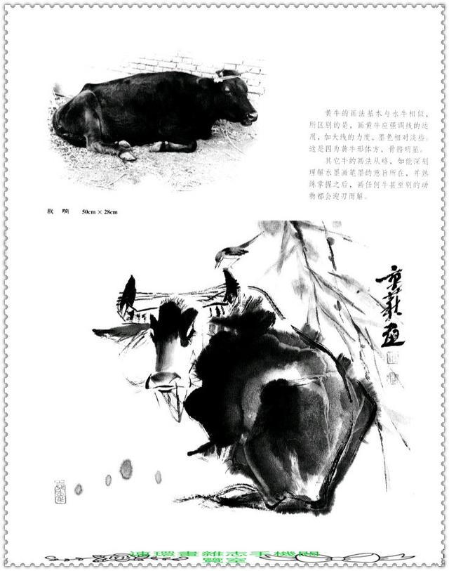 水墨国画牛画法，中国画水墨牛技法