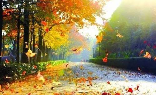 英雄所见略同 幽默接下一句，英雄所见略同幽默回答（新写的诗恰巧有一句与古人的一模一样）