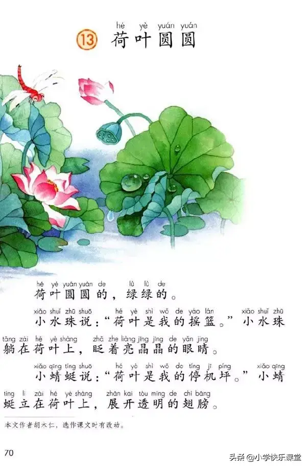 一什么荷叶一什么凉伞，荷叶是小雨的凉伞（小学部编版一年级下册语文课文13《荷叶圆圆》图文解读+知识点）