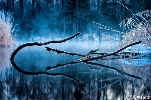 爱默生名言大全，名言大全经典励志（美国文明之父爱默生的40则经典语录）