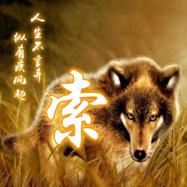 狼图片头像 凶猛 霸气 冷酷，100张姓氏霸气狼头像（100张“血性狼”姓氏头像、送给在困境中坚持梦想的你）