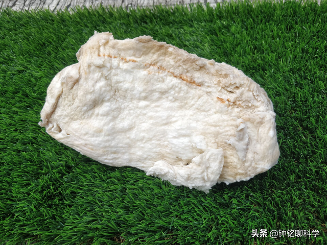 太岁是什么东西，太岁是什么东西图片（捡到的太岁为何还能继续生长）