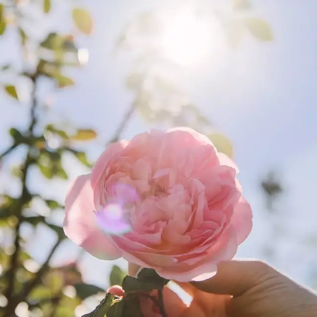 酷酷背景图，全网最火背景图（酷酷的微信朋友圈背景图）