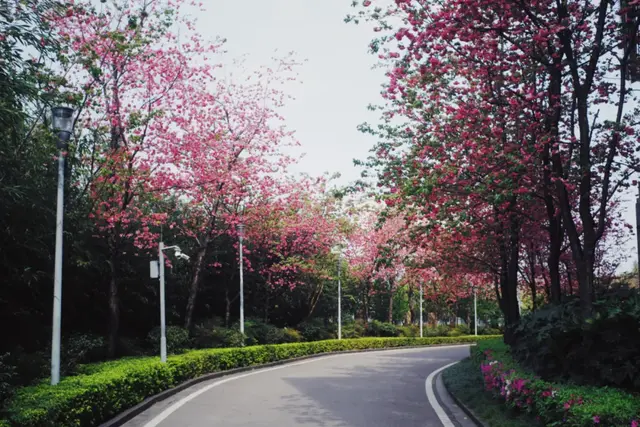 昆明周边好玩的地方，昆明周边好玩的地方有哪些（来到四季如春的昆明）